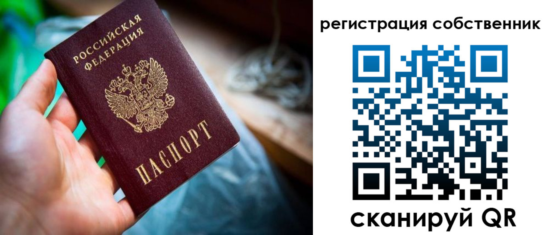 прописка гарантия в Ленинске